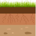 soil-layers-cropped